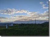 PXL_20210929_082642270