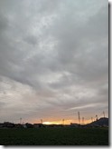 PXL_20210930_082852825