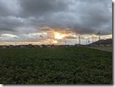PXL_20211001_082406995