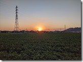 PXL_20211002_082834606