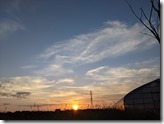 PXL_20211004_082637521