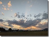 PXL_20211007_081945379