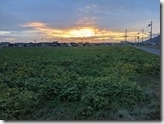 PXL_20211011_082531986