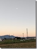 PXL_20211015_081855263