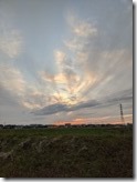 PXL_20211024_075738995