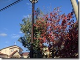 PXL_20211103_070140603
