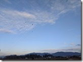 PXL_20211210_070349272