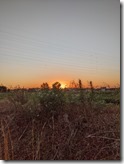 PXL_20211214_073926733 (1)
