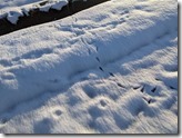 PXL_20211228_065957123