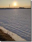 PXL_20220116_072815262