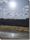 PXL_20220322_065509851