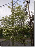 PXL_20220420_205252477