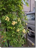 PXL_20220420_205641024