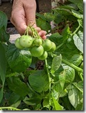 PXL_20220627_072228993