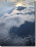 PXL_20220815_082838522