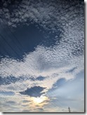 PXL_20220815_082838522