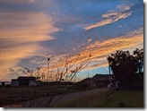 PXL_20221005_084000029