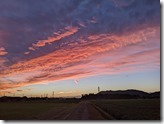 PXL_20221005_084501950