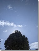 PXL_20221128_022058864.MP
