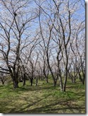 PXL_20230327_042010449