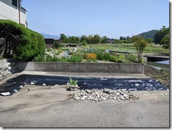 PXL_20230516_044142705