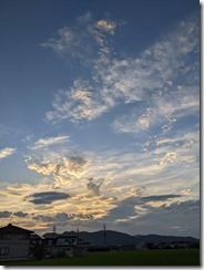 PXL_20230711_095813497