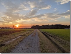PXL_20231019_080317100.MP
