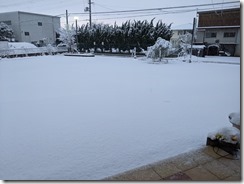 PXL_20240107_215604343