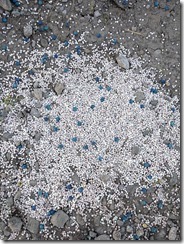 PXL_20240721_093352006.MP