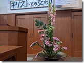 pxl_20201115_025236581.mp