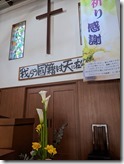 PXL_20220408_025937506
