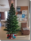 PXL_20221126_070031866.MP