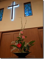 PXL_20230401_085503460