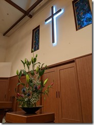 PXL_20230408_202928442