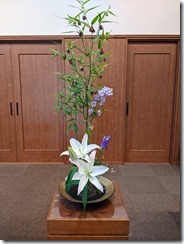 PXL_20230610_051836768