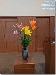 PXL_20230624_212110618
