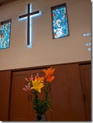 PXL_20230624_212116144