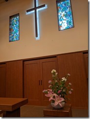 PXL_20230708_031011358.MP