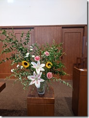 PXL_20230722_015306254