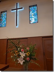 PXL_20230722_015312056.MP