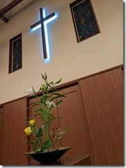 PXL_20230819_100838981