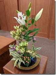 PXL_20230909_200252055