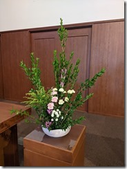 PXL_20231021_053607777.MP
