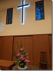 PXL_20231104_211329388