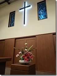 20241020_060221