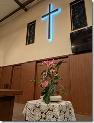 PXL_20260117_210303485