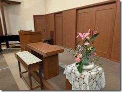 PXL_20260117_210309145