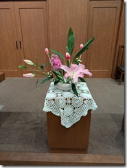 PXL_20260131_210644748