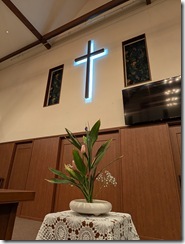 PXL_20260221_205916696.MP