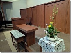 PXL_20260307_224900869